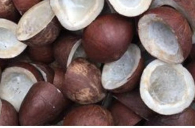 Coconut (Dry) - Organic