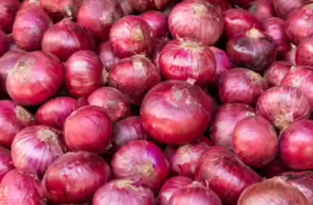 Red Onion
