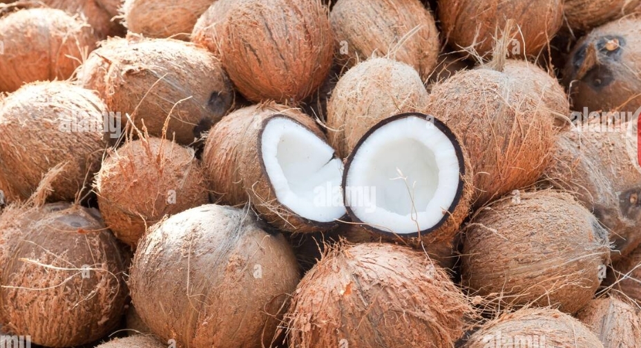 Coconut (All Forms) 