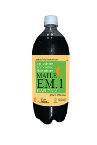 Maple EM1 Hariyali 
