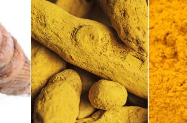 Turmeric (All Forms) - Organic Certified