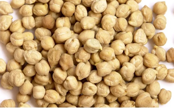 Chickpea