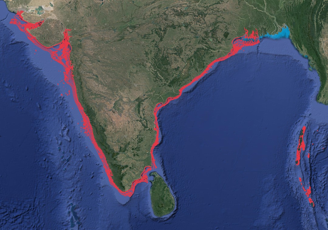 Region map for Javanese Cownose Ray