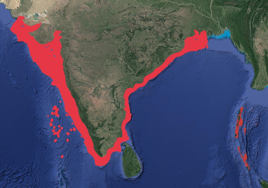 Region map for Spot-tail Shark