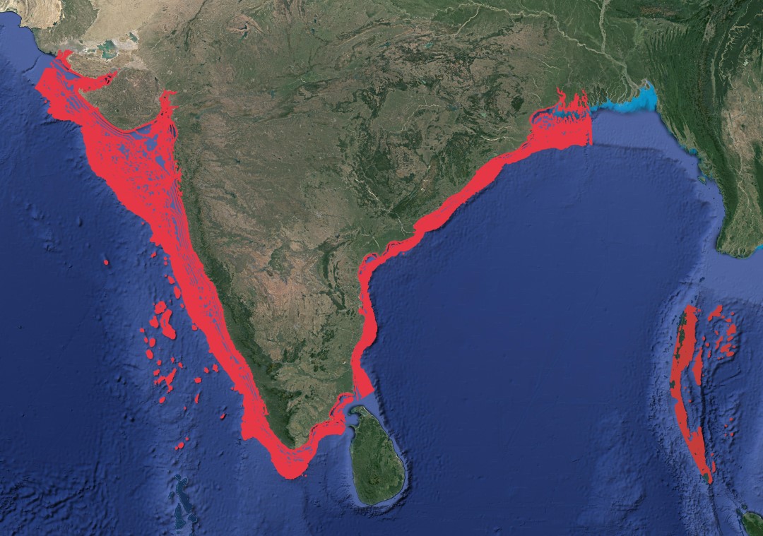 Region map for Shortfin Mako