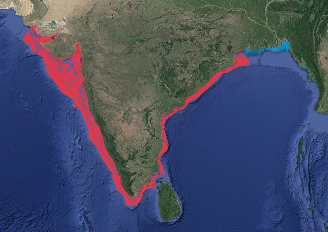 Region map for Sharpnose Guitarfish