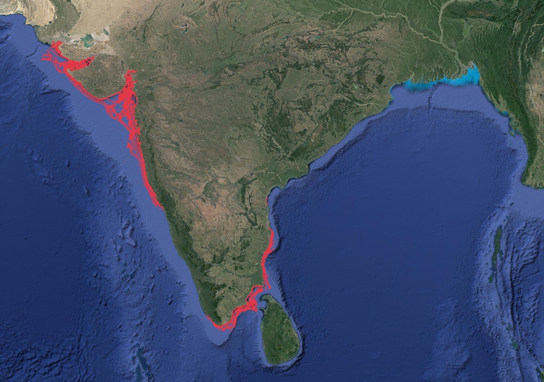 Region map for Scaly Whipray