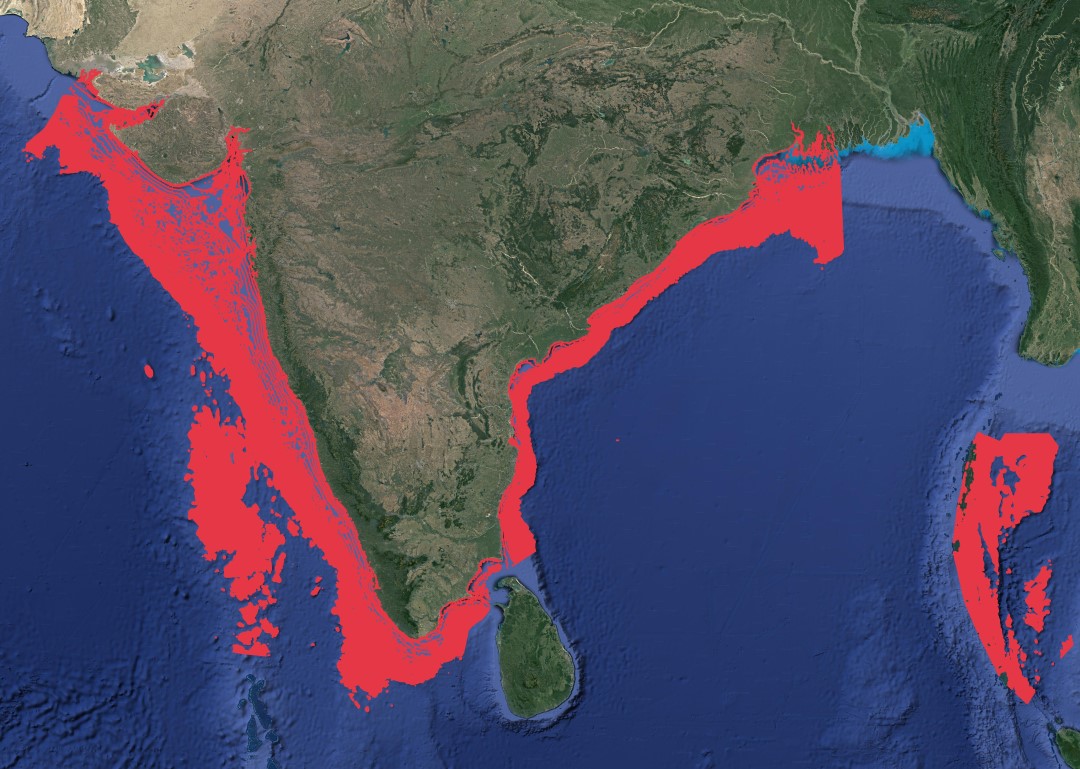 Region map for Whale Shark