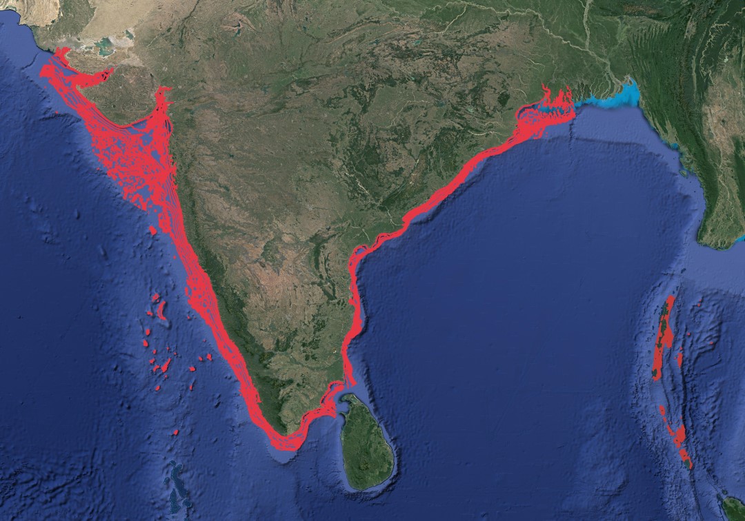 Region map for Blacktip Reef Shark