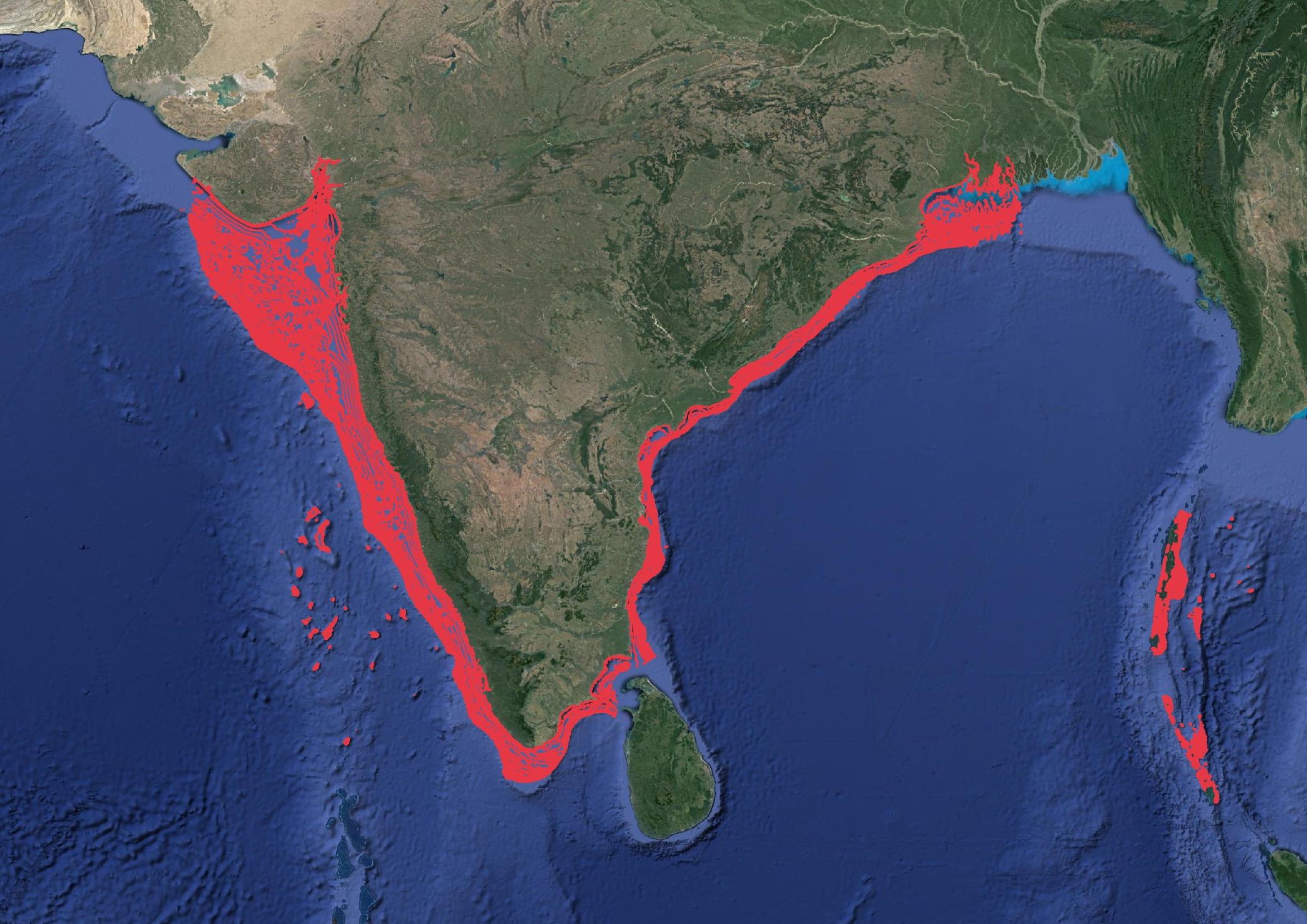 Region map for Common Blacktip Shark