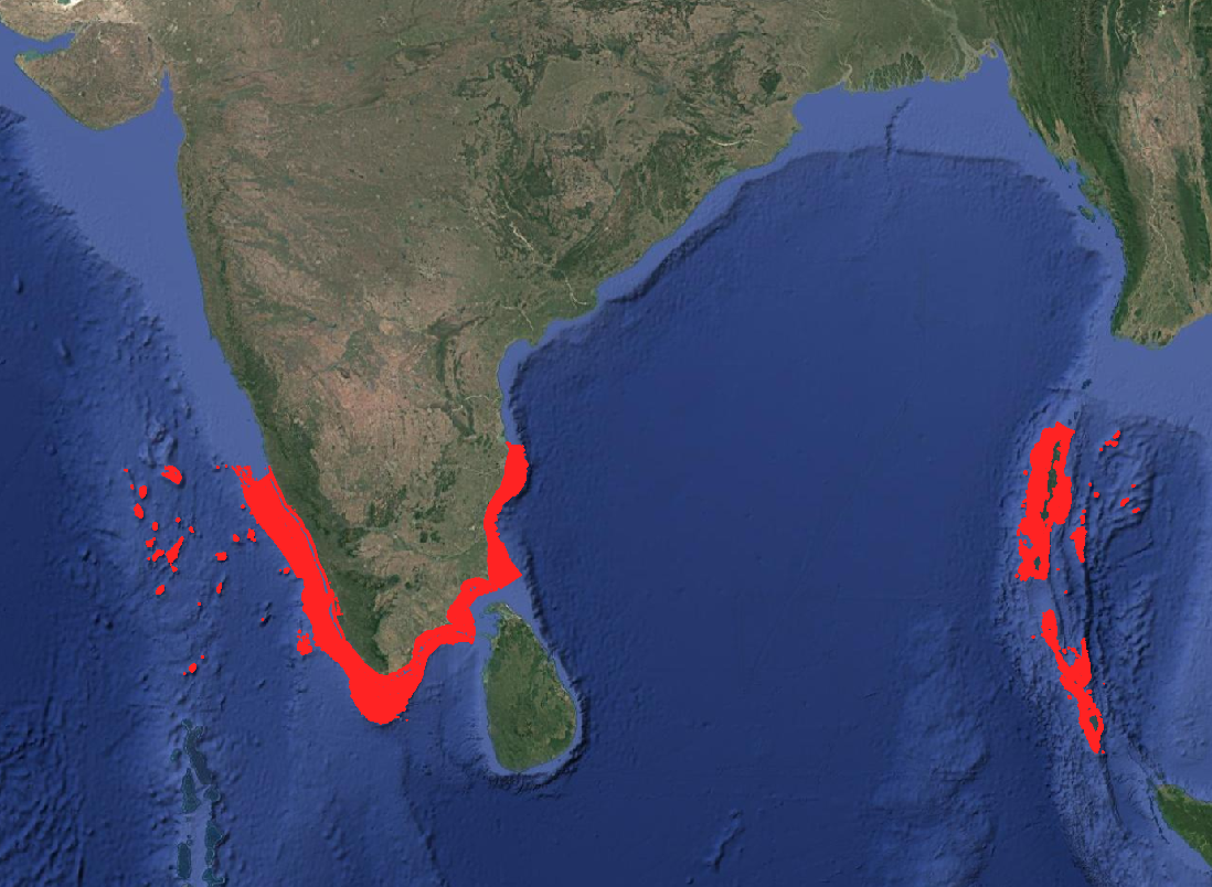 Region map for Whitetip Reef Shark