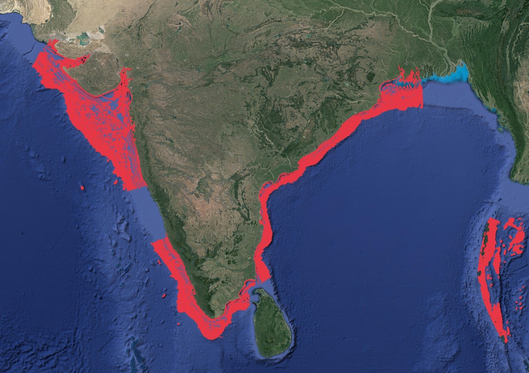 Region map for Spinetail Devil Ray