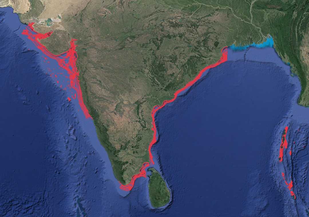 Region map for Whitespotted Whipray