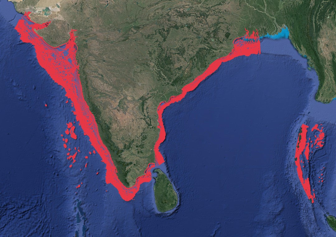 Region map for Scalloped Hammerhead