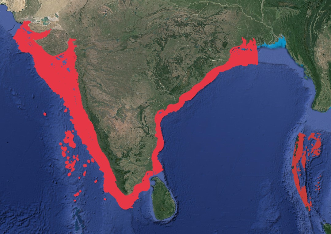 Region map for Tiger Shark