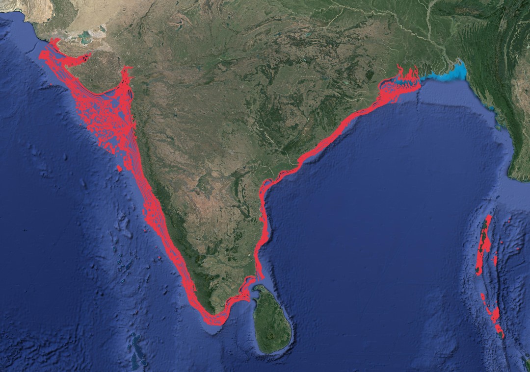 Region map for Longtail Butterfly Ray